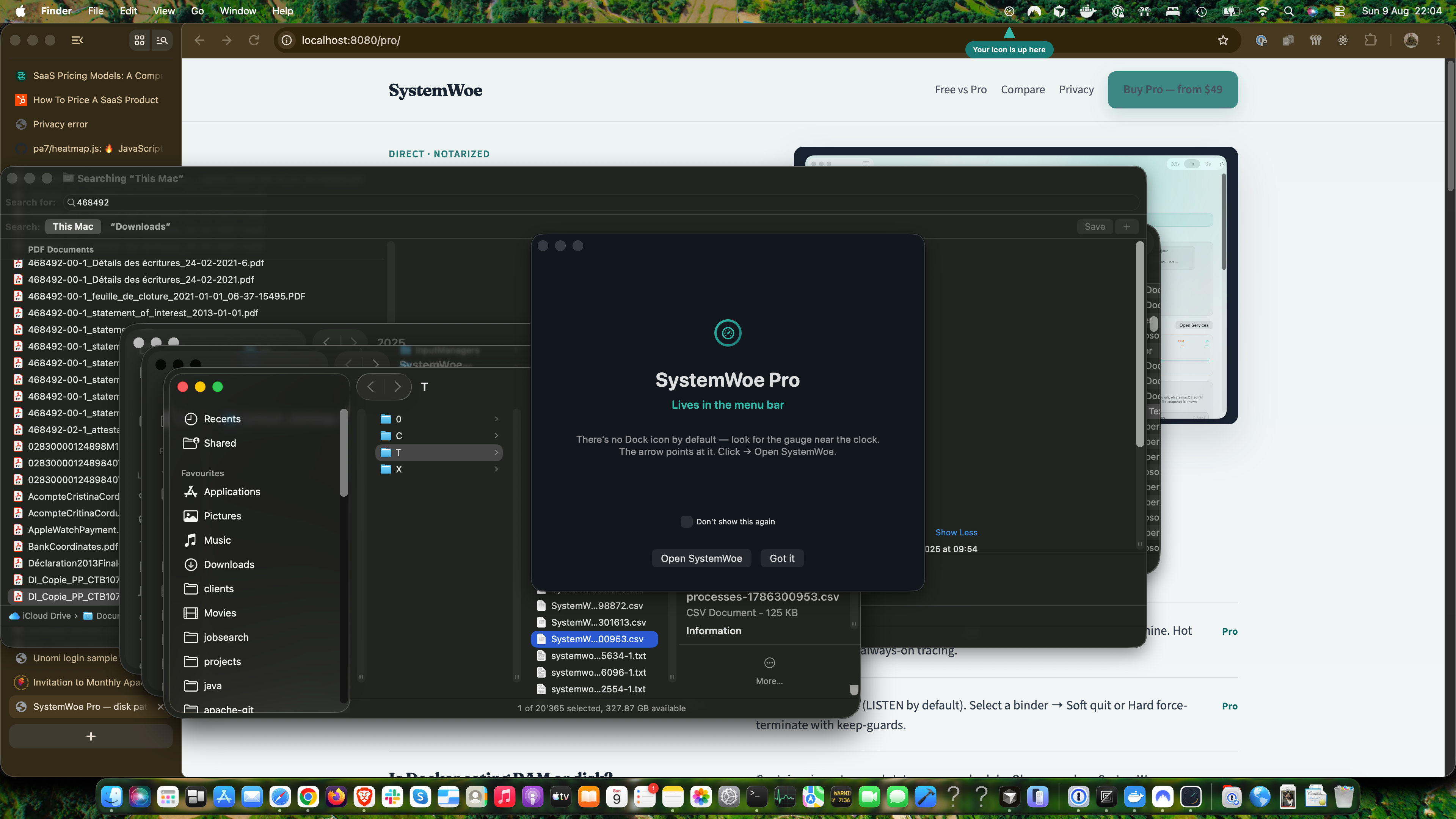 SystemWoe launch intro highlighting the menu-bar beacon