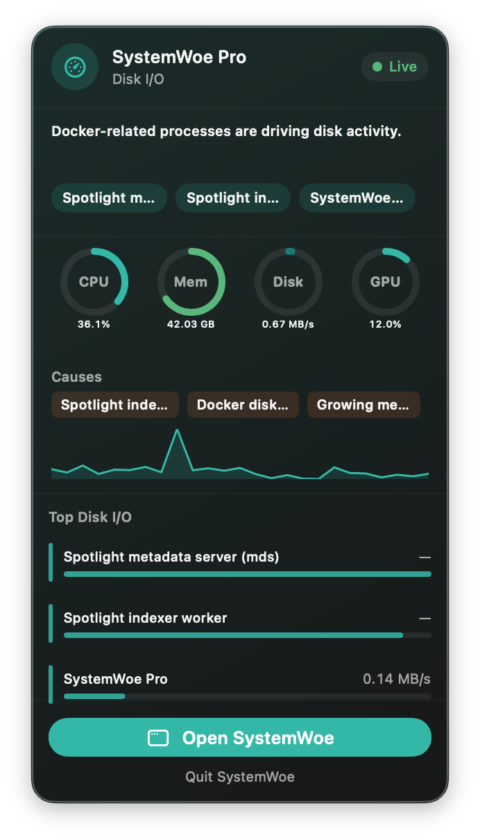 SystemWoe menu bar panel with live meters and top processes